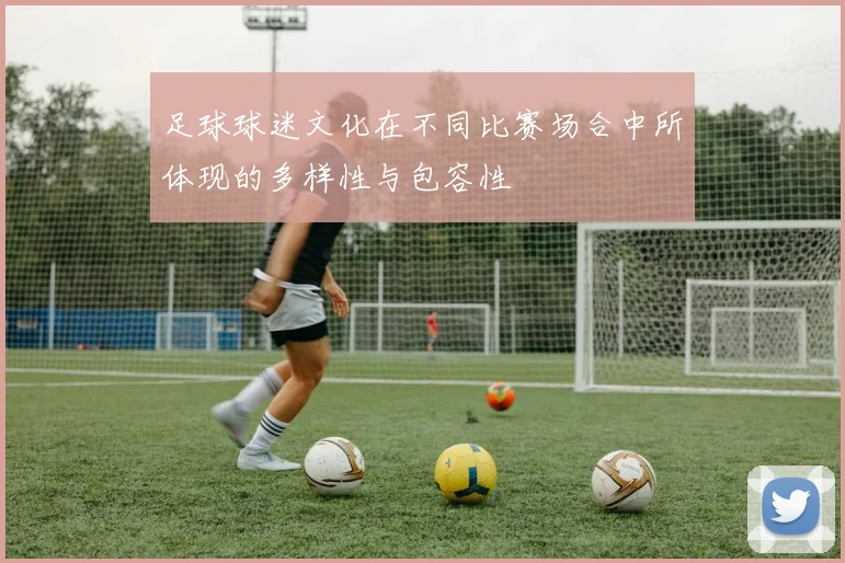 足球球迷文化在不同比赛场合中所体现的多样性与包容性