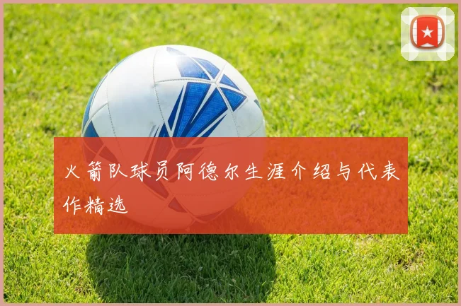 火箭队球员阿德尔生涯介绍与代表作精选
