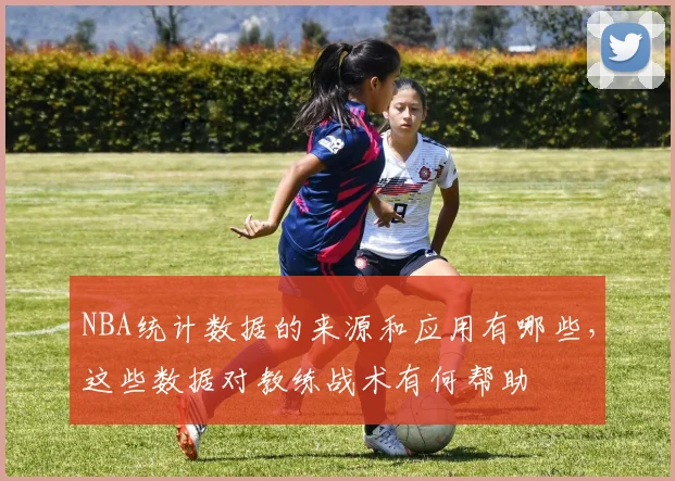 NBA统计数据的来源和应用有哪些，这些数据对教练战术有何帮助
