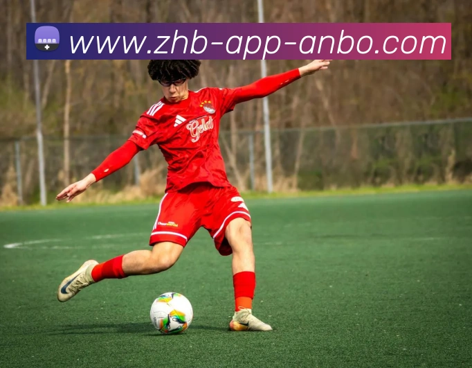 安博体育发展历程